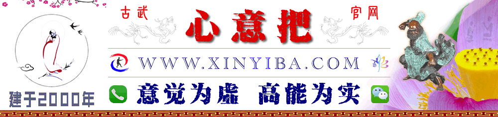 心意把网