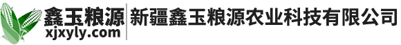 鑫玉粮源|新疆玉米种子|种玉米|玉米种子求购|批发采购-鑫玉粮源