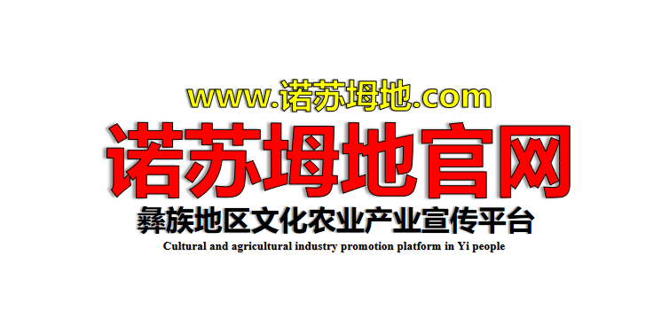 诺苏坶地-彝族地区官网