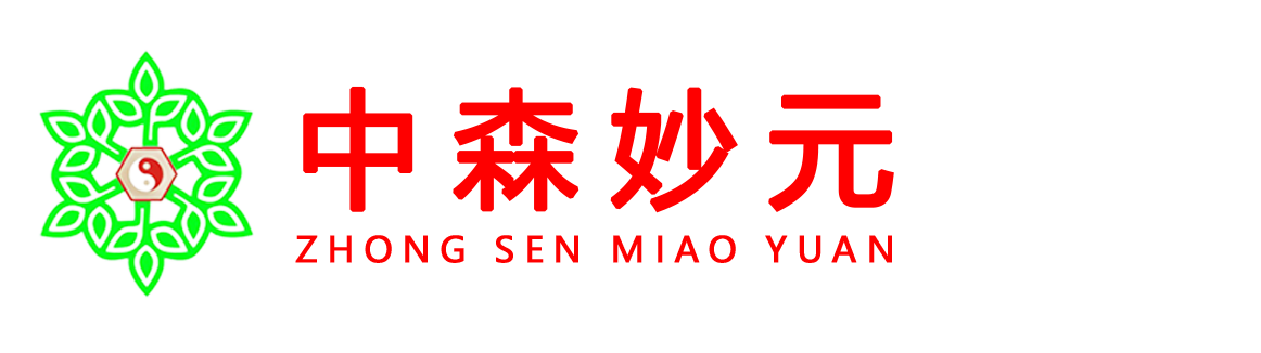 中上妙华 | 中森妙元™