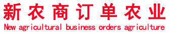 上海侬科电子商务有限公司