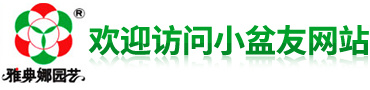 微型盆景-中小型盆景-造型景观树-扬州雅典娜园艺科技开发有限公司