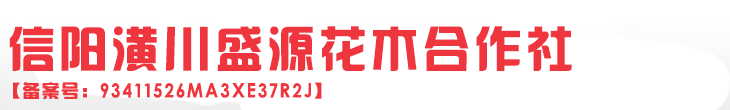 桂花|广玉兰|大叶女贞|紫薇|河南潢川卜集|农户花木直销