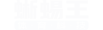蜥蜴王体育 | 做最好用的体育场馆软硬件