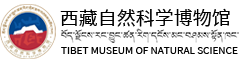 西藏自然科学博物馆