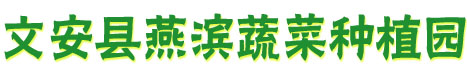 汉宫芽韭|新鲜蔬菜|文安燕滨蔬菜种植园