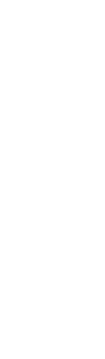 四川宜宾叁鑫食品有限公司-致力于打造“中国竹全宴”知名品牌