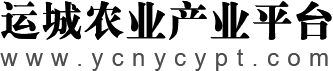 运城农业产业平台