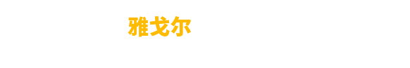 宁波雅戈尔国际贸易运输有限公司