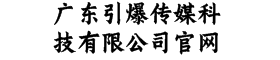 广东引爆传媒科技有限公司