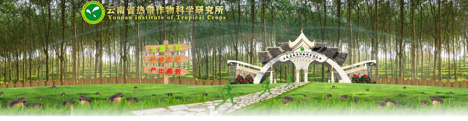 网站首页-云南省热带作物科学研究所