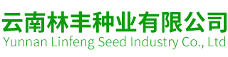 云南林丰种业有限公司
