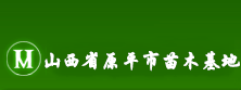 原平市山水同顺苗木培育中心（原平市苗木基地）