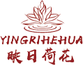 呼和浩特市映日荷花舞蹈艺术培训教育-内蒙古舞蹈艺考集训营
