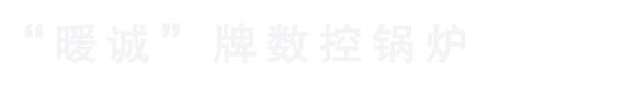 数控锅炉_生物质锅炉_河北任丘采暖炉厂家--“暖诚”牌数控锅炉