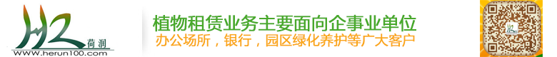 上海荷润园艺有限公司,绿化租赁,植物租赁,绿植租赁上海荷润园艺有限公司,绿化租赁,植物租赁,绿植租赁上海荷润园艺有限公司,绿化租赁,植物租赁,绿植租赁,上海室内植物租赁,上海花卉植物销售,上海室外园林养护,松江区室内植物租赁,松江区花卉植物销售,松江区室外园林养护,浦东室内植物租赁,浦东花卉植物销售,浦东室外园林养护