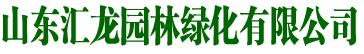 银杏树|山东银杏树|银杏树价格|银杏树基地 - 山东汇龙园林绿化有限公司