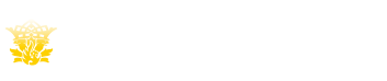 凤色科技 | 全渠道互联网营销服务 | 按效果付费