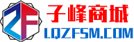 临泉县子峰电子网络工程有限公司-一家良心的数码监控弱电工程的公司