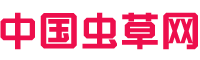 中国虫草网