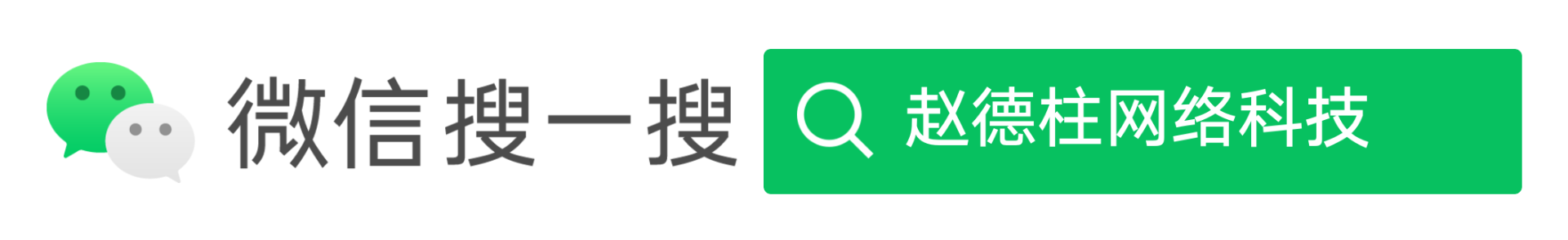 企业网站建设SEO优化自媒体推广抖音推广 - 赵德柱网络科技