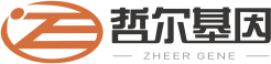 哲尔亲子鉴定中心-国内DNA亲子鉴定正规权威机构