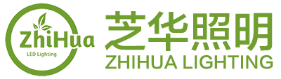 ZHONGSHAN ZHIHUA LIGHTING COMPANY LIMITED - 中山市芝华照明有限公司