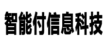 智能付信息科技