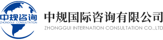 中规国际咨询有限公司