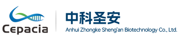 TurboID邻近标记技术-蛋白互作实验-中科圣安生物zhongkebios
