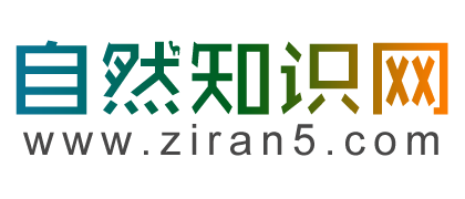 自然知识网_有关于自然的知识科学科普百科资料大全