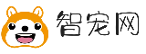 智宠网 - 宠物资讯大全,宠物养护知识,宠物生活分享