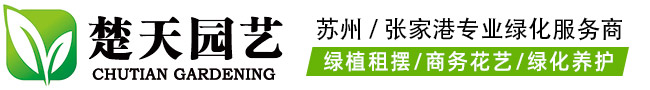 楚天园林-张家港绿植租赁公司_办公室绿植租赁_苏州绿植租摆