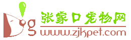 张家口狗狗网丨张家口狗市丨张家口买卖狗丨张家口宠物服务丨张家口宠物美容丨张家口宠物医院丨张家口狗狗领养 -  Powered by Discuz!