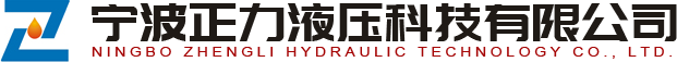 制动阀_先导控制手柄_LRDS控制阀_A11VO系列液压泵_LHDV平衡阀_A2FE马达_液压比例多路阀_BVD控制阀_A11V0电控阀 宁波正力液压科技有限公司
