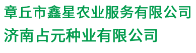 大葱种子_进口葱种_日本葱种-章丘市鑫星农业服务有限公司