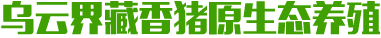 安化县乌云界藏香猪原生态养殖专业合作社_益阳藏香猪|安化臧香猪|湖南藏香猪
