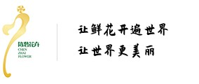 陈砦花卉市场官方网站——郑州陈砦花卉服务有限公司