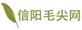 信阳毛尖_毛尖的功效与作用-信阳毛尖网 - -【信阳毛尖网】