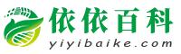 依依百科-全面了解知识点,提升认知水平
