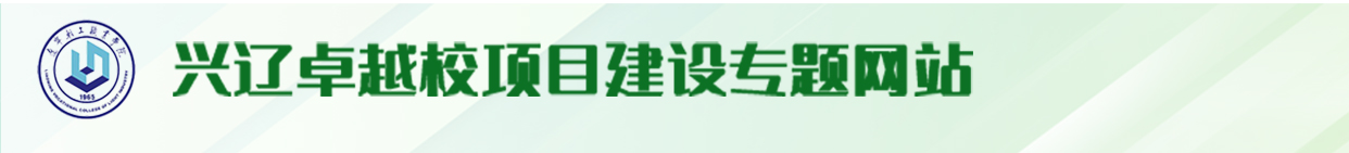 兴辽卓越校项目建设专题网站